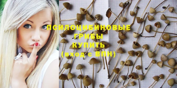 гашик Магадан