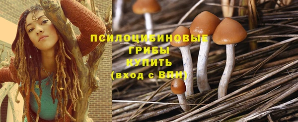 спайс Мегион