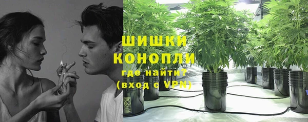 спайс Мегион