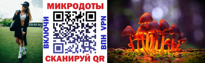 наркота  Городище  Галлюциногенные грибы мицелий 