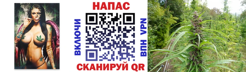 hydra маркетплейс  Городище  Каннабис Amnesia  купить наркотик 
